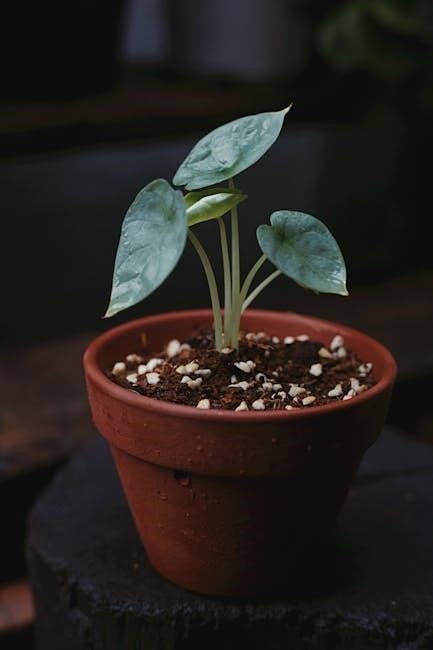 devinette avec reponse qui suis je pdf