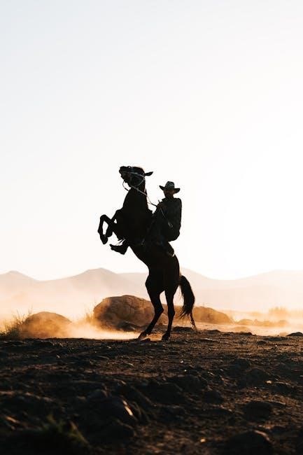 cowboy hat size guide