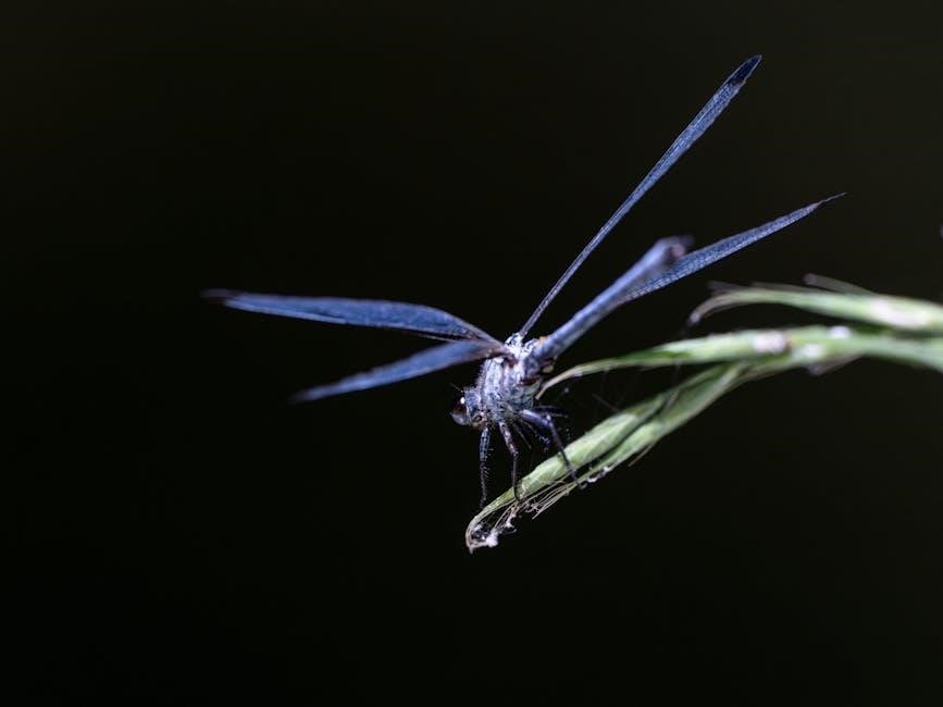 wings of fire: a guide to the dragon world