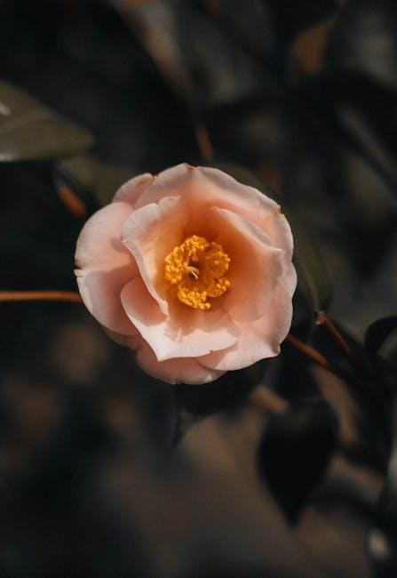 daily laws by robert greene pdf