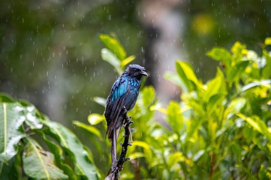 rain bird sst-900i manual