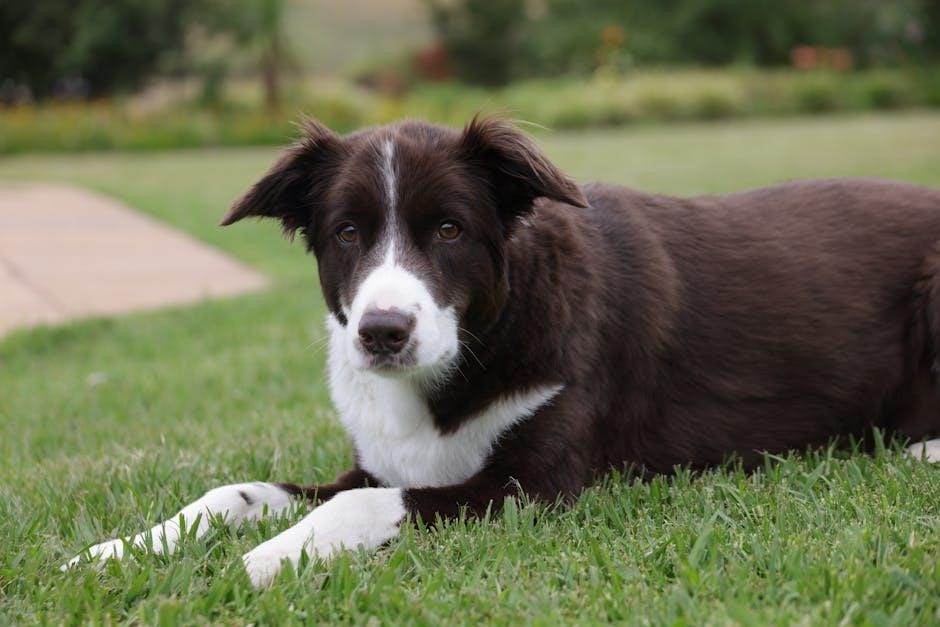 robitussin for dogs dosage chart pdf