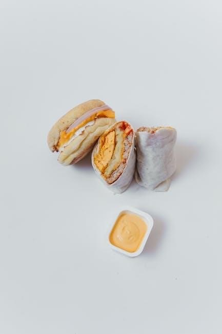 dash egg bite cooker instructions