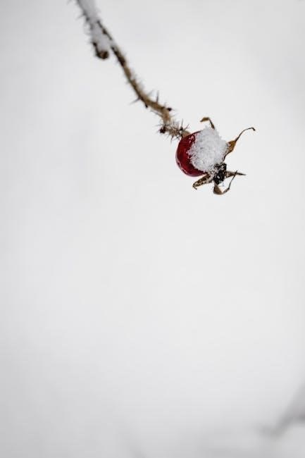 red baron frozen pizza instructions